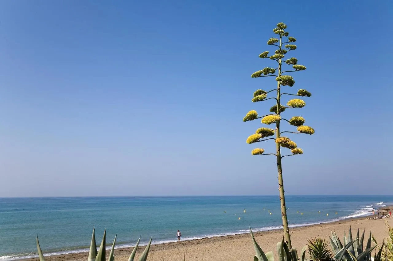 Apt 212 Heaven Beach Apartments, Guadalmansa Playa Estepona Apartment